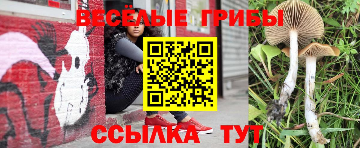 Галлюциногенные грибы Magic Shrooms  Галлюциногенные грибы MAGIC MUSHROOMS  Вход с VPN  Осинники 